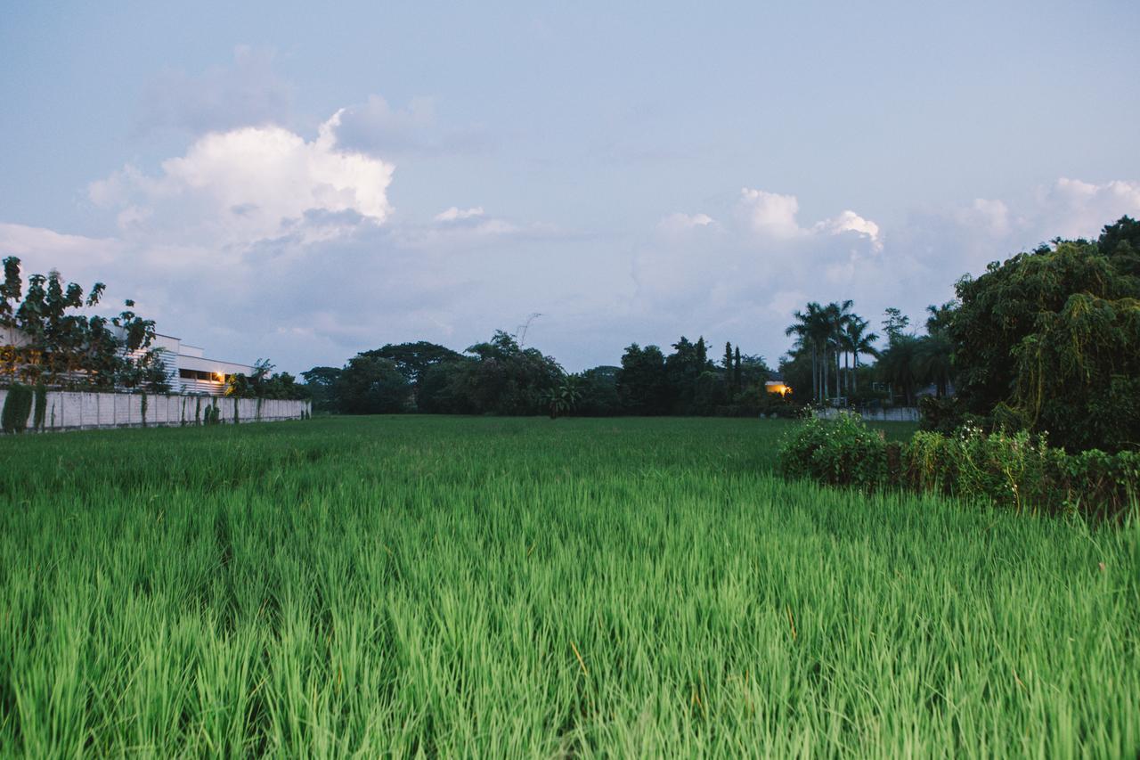 ฺbaan Tonglong Homestay ハンドン エクステリア 写真
